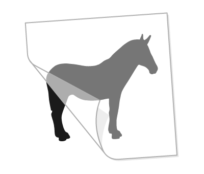 Custom transfer stickers