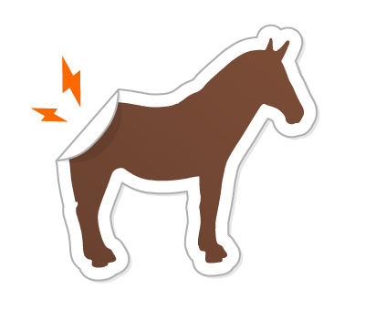 Custom window clings