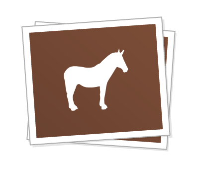 Custom rectangle stickers